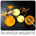 Trip Journey   - zeigt Ayurvedische Hotel Reisen mit verschiedenen Behandlungsmethoden im Überblick. Die schönsten Länder für Ayurveda Kuren